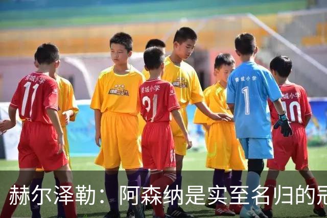 赫尔泽勒：阿森纳是实至名归的冠军，他们可能有英格兰最强阵容